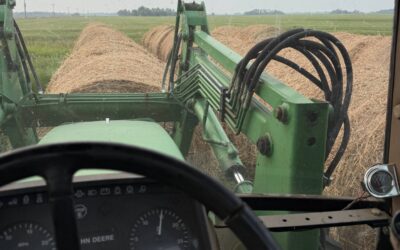 Tough Year for Mb Farmers