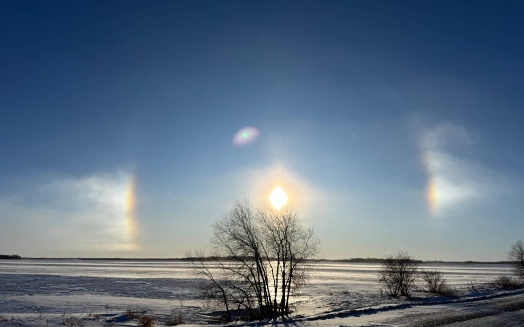 Smart Pigs, Silly Farmers