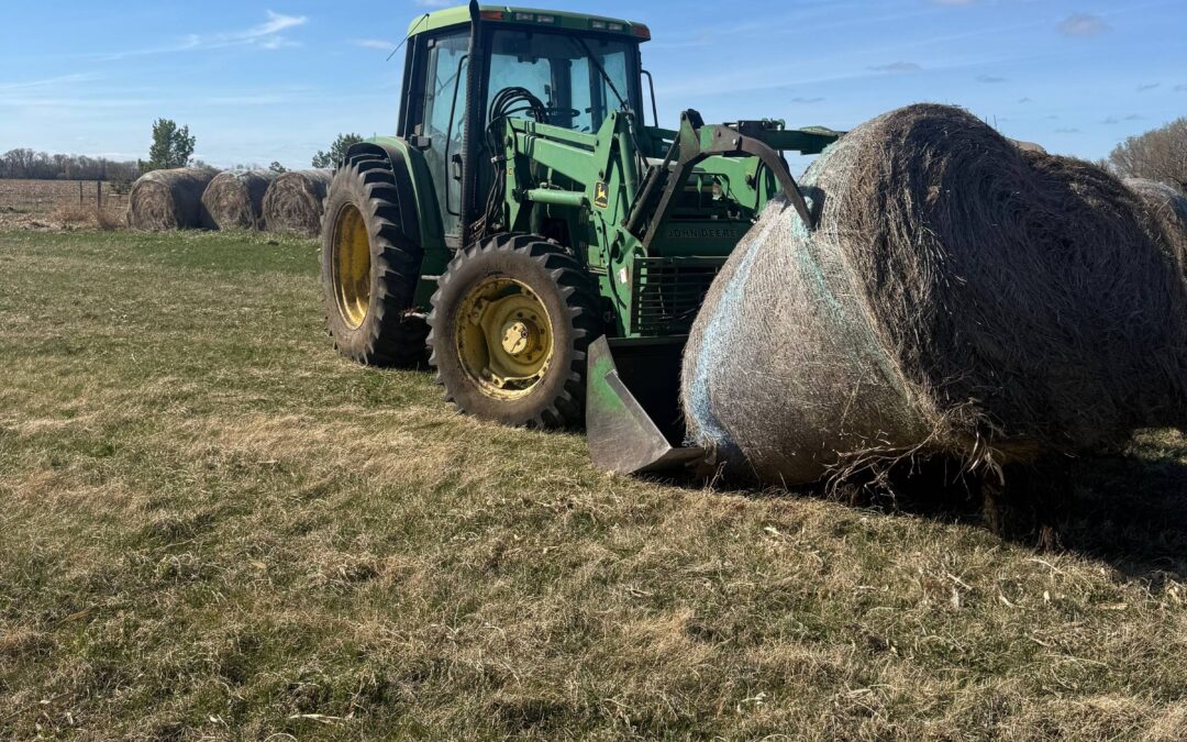 Hillview Livestock tractor with hay bale
