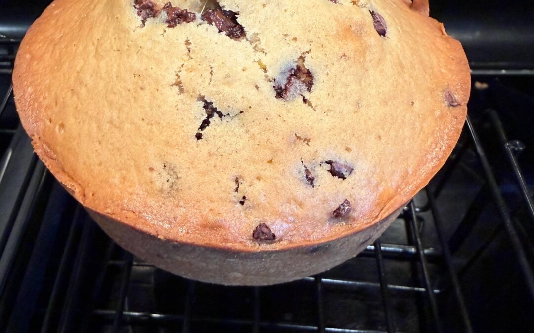 Blake's Very Big Muffin